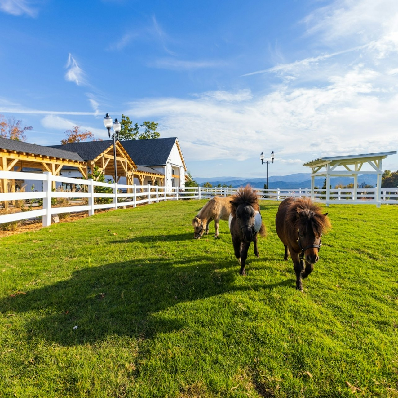 General Admission to SkyLand Ranch - Photo 1 of 17